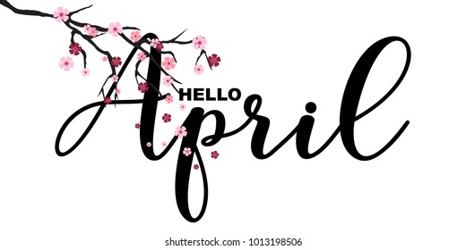 Hello April, spring related motivational quote, isolated on white background, vector illustration. Handwritten letters, Japanese sakura branch, little cute flowers falling.