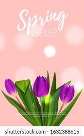 Hello April spring tulip coupon. Colorful banner background to Womans day.