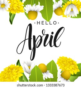 Hello april vector lettering. Dandelions and daisy flowers. Hand written design element for card, poster. Modern calligraphy for spring design. Floral design elements.