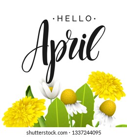 Hello april vector lettering. Dandelions and daisy flowers. Hand written design element for card, poster. Modern calligraphy for spring design. Floral design elements.