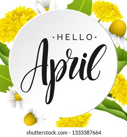 Hello april vector lettering in white round banner. Dandelions and daisy flowers. Hand written design element for card, poster. Modern calligraphy for spring design. Floral design elements.