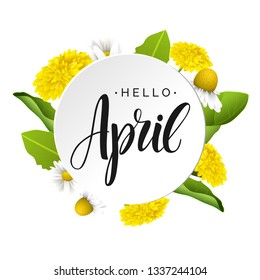 Hello april vector lettering, white round banner. Dandelions and daisy flowers. Hand written design element for card, poster. Modern calligraphy for spring design. Floral design elements.