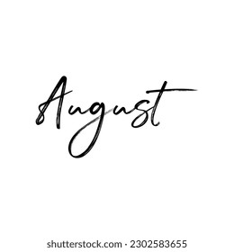 Hello August. Hand drawn August phrase.Handwritten modern brush calligraphy.vector illustration for year calendar,poster,card,banner, invitations.Modern brush calligraphy. Isolated on white background