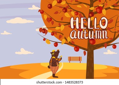Hello Autumn apple tree Cute bear in pants with apple landscape fruit harvest season lettering in trend style flat cartoon panorama horizon. Illustration vector isolated banner postcard poster