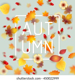 Hello Autumn Background. Bright autumn birch, oak, maple, chestnut leaves and berry with flowers light background. Square frame. Vector illustration