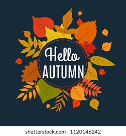 Hello autumn background with fall leaves. Nature autumnal vector concept. Orange and yellow leaf seasonal illustration