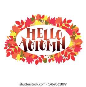Hello autumn background with fall leaves. Nature autumnal vector concept. Orange and yellow leaf seasonal illustration. Autumnal elements set frame. EPS10