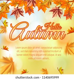 hello autumn background, falling autumn