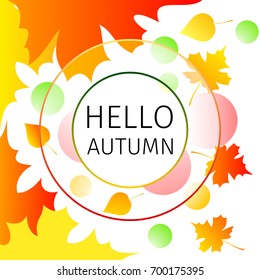 Hello autumn background with falling leaves and circles