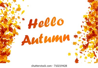 Hello autumn background with golden maple and oak leaves. Vector illustration.