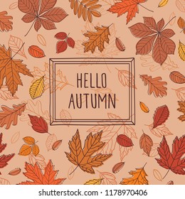 Hello autumn. Background with hand drawn leaves and frame. Vector.