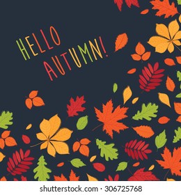 Hello autumn! Background with hand drawn autumn leaves. Fall of the leaves. Autumn leaves are drawn on the chalkboard. Sketch, design elements. Vector illustration.