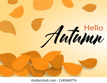 Hello Autumn. background layout decorate with leaves design for web ,banner ,template ,poster, web, banner. Vector