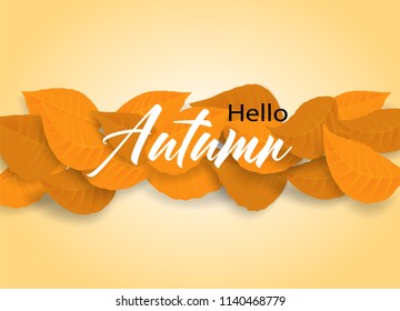 Hello Autumn. background layout decorate with leaves design for web ,banner ,template ,poster, web, banner. Vector