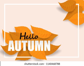 Hello Autumn. background layout decorate with leaves design for web ,banner ,template ,poster, web, banner. Vector
