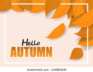 Hello Autumn. background layout decorate with leaves design for web ,banner ,template ,poster, web, banner. Vector