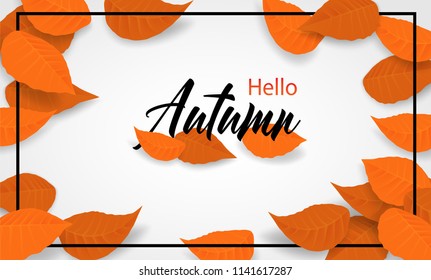 Hello Autumn. background layout decorate with leaves design for web ,banner ,template ,poster, web, banner. Vector

