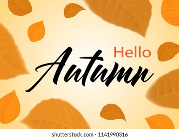 Hello Autumn. background layout decorate with leaves design for web ,banner ,template ,poster, web, banner. Vector