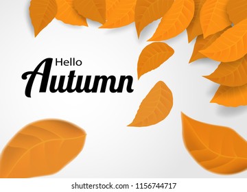 Hello Autumn. background layout decorate with leaves design for web ,banner ,template ,poster, web, banner. Vector