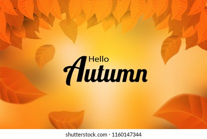Hello Autumn. background layout decorate with leaves design for web ,banner ,template ,poster, web, banner. Vector