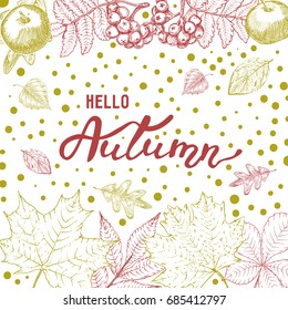 Hello autumn background with autumn leaves, apples and rowan berries. Hand drawn sketch illustration.