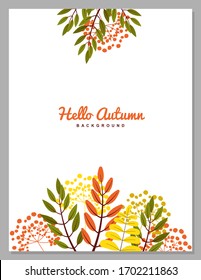 Hello autumn background with autumn leaves and rowan berries. Concept of autumn vector nature on a white background. Orange and yellow leaf seasonal illustration. Vector illustration.