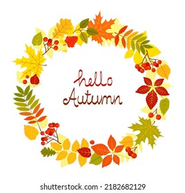 Hello autumn background with autumn leaves. Autumn vector concept.