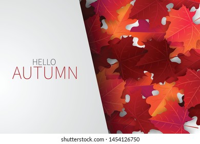 Hello autumn background with red and orange maple leaves and space for text. Realistic vector illustration.