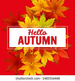 Hello Autumn Background Template, with falling bunch of leaves, shopping sale or seasonal poster for shopping discount promotion, Postcard and Invitation card. Vector illustration Voucher, Banner