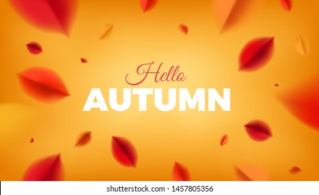 Hello Autumn banner background with red leaves, fall nature vector promo design elements. Web layout template