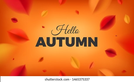 Hello Autumn banner background with red leaves, fall nature vector promo design elements. Web layout template