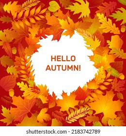 Hello autumn banner circle frame with fall leaves. Leaf from tree of maple, oak, birch. Yellow, orange, red foliage. Template for thanksgiving, 1 september sales design. 