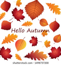 Hello Autumn banner. Golden leaves background.