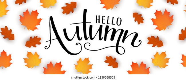 Hello autumn banner. Hand drawn lettering with fall. Vector autumn sale banner