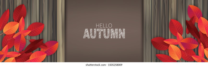 Hello autumn banner or header concept. Red and orange leaves on wooden board. Vector illustration.