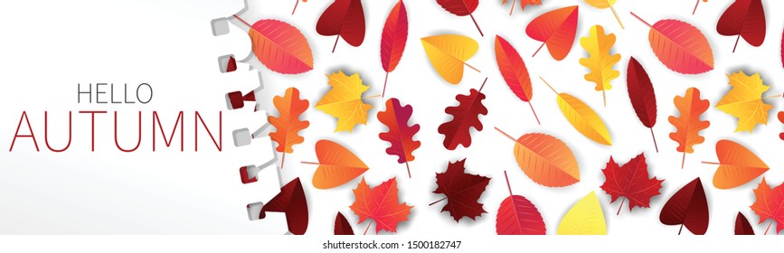 Hello autumn banner or long header for website, newsletter, advertisement. Red and orange tree leaves on white background covered by torn out sheet of notepad paper. Vector illustration.