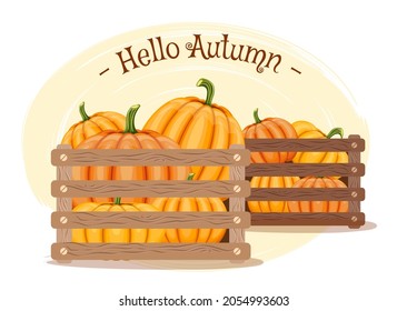 Hello autumn banner. Orange pumpkins in wooden boxes. Vegetables from the farm. Organic food. Vector illustration.
