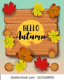 Hello Autumn banner. paper colorful tree leaf maple, rowan leaves on wood texture background.