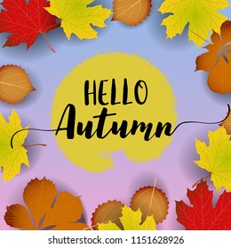 Hello Autumn banner. paper colorful tree leaf maple, rowan leaves on wood texture background.