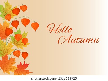 Hello autumn. Banner, poster, card. Autumn physalis branches with maple leaves on beige background.