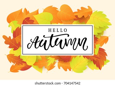 Hello autumn banner template. Fall seasonal calligraphy. Poster, card, gift tag, label design. Vector illustration
