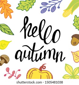 Hello autumn. Banner template, greeting card with vector illustrations and handwritten lettering. Fall season and harvest festival. Colorful invitation with leaves and harvest. 