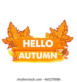 hello autumn banner - text in yellow and orange drawn label with leaf signs, seasonal concept, vector
