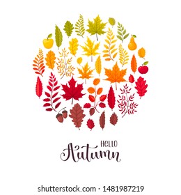 Hello autumn banner vector illustration. Bright and colorful autumn leaves circle composition isolated on white background. 