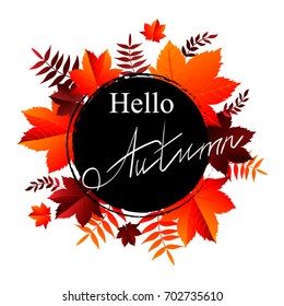 Hello, Autumn banner. Vector illustration on the background of autumn leaves. Concept autumn advertising.