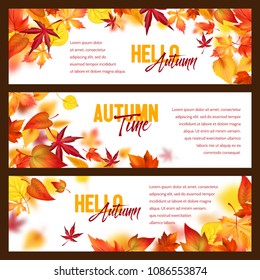 Hello Autumn banners of falling leaves and fall foliage. Vector set of maple, oak or poplar and birch tree or chestnut leaf, beech or elm and aspen leaves for autumn seasonal greeting card design