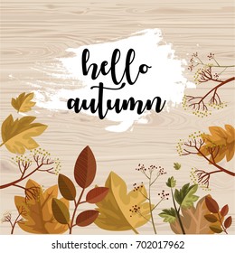 Hello Autumn beautiful vector illustration with leaves and herbs on wood background.