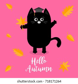 Hello autumn. Black cat Graduation hat Academic Cap Orange red fall leaf. Happy surprised emotion. Cute funny cartoon baby character. Pet animal collection Pink background Isolated Vector illustration