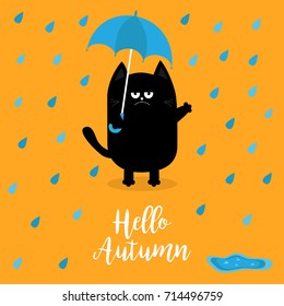 Hello autumn. Black cat holding blue umbrella. Rain drops, puddle. Angry sad emotion. Hate fall. Cute funny cartoon baby character. Pet animal collection Orange background Isolated Vector illustration