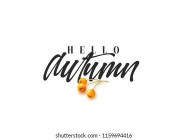 Hello Autumn, black text handwritten calligraphy. Vector illustration
